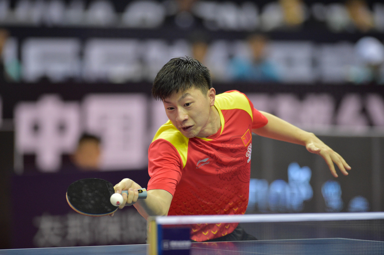 应作为联盟 应作为联盟