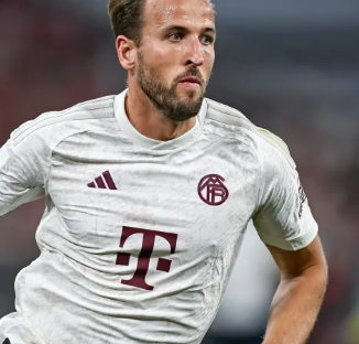 队内角色卡 队内角色卡